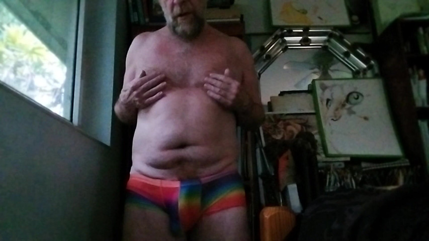 Pridewear (Hairyartist) Pridewear (Hairyartist)