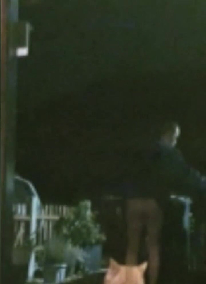 MaleModel: Добірка дня сперми