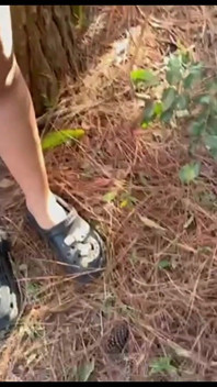 Я пішов у кущі з гарячим хлопцем, ця прогулянка в кущах була смачною.