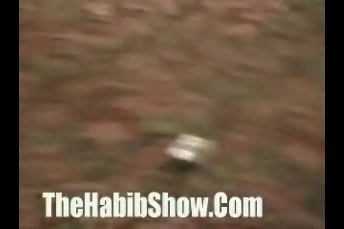 The Habib Show: Bà chủ piggys sô cô la đụ video đầy đủ