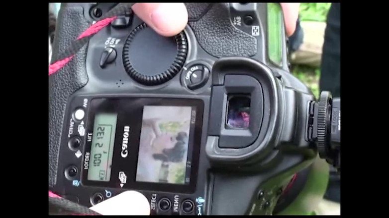 DEUTSCHE AMATEUR: Ein Körper Voller Tätowierungen, Die Durchdrungen Werden Müssen