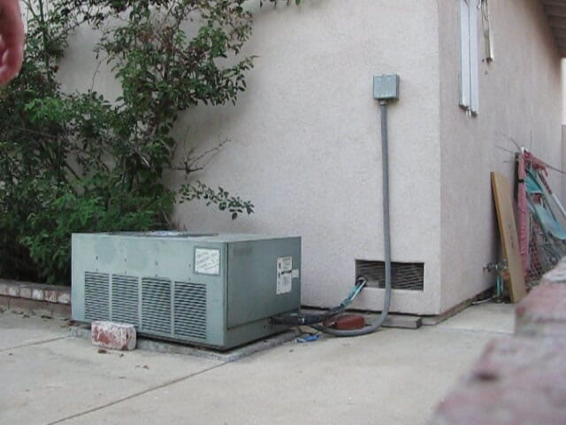 The porky pervert: Komşular arka bahçede mastürbasyon yapıyor