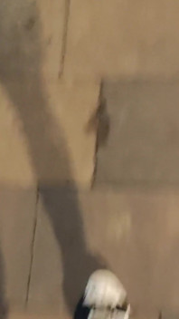 435798810