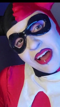 Harley hilft beim nightwingen