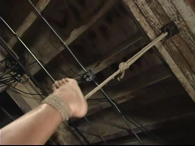 Hogtied by Kink: Cyd Black dan Amber Rayne