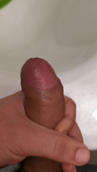 Topcockpqpi: Cuma aku dan kontol ini