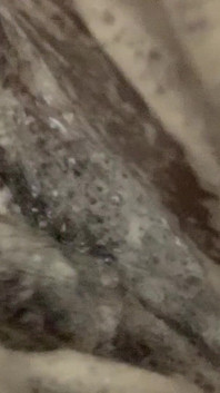 Soapy Shower Massage for a Purrrfectly Clean Pussy