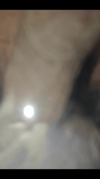 749771317682647040.mp4