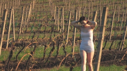 XCZECH: Daphne Angel - 日落中的vinyard