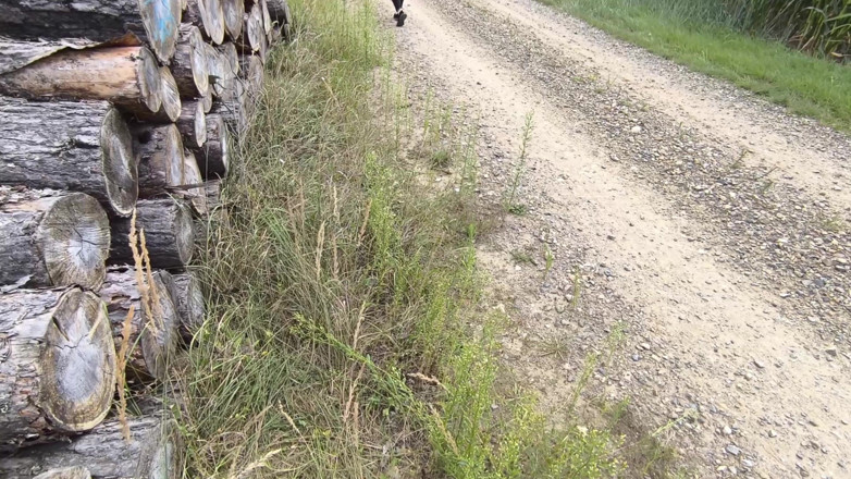 Bouncy Tits Action: Vagina Spanking on the Logs