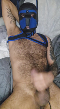 Pup Talking Dirty to You