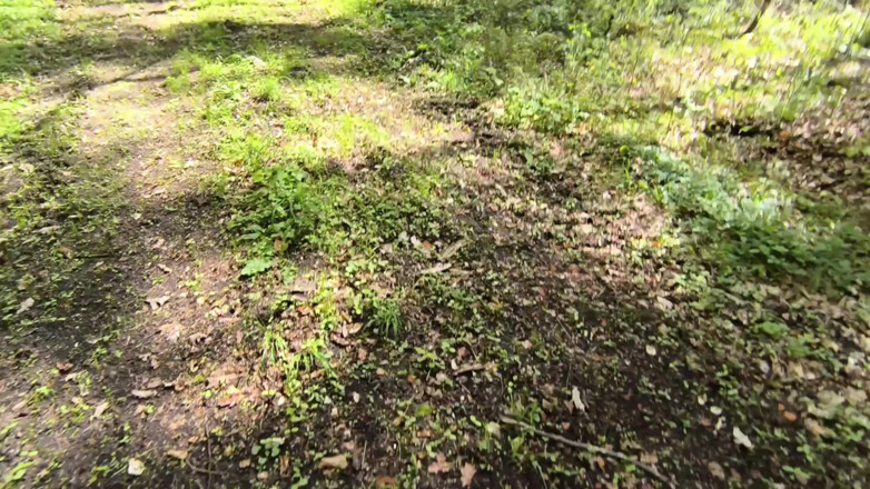 Bouncy Tits Action: Peitos batendo na floresta