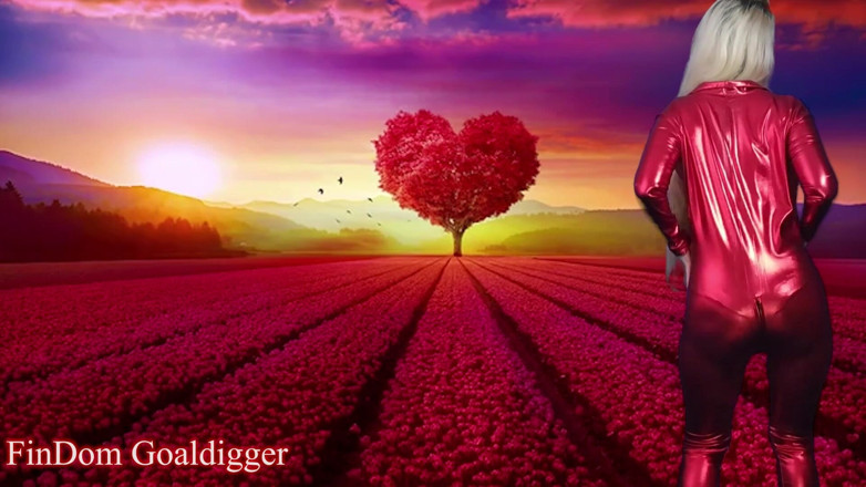 FinDom Goaldigger: Última punheta em sua vida! Instruções da gaiola de castidade