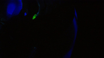 Tight little babes: Lesbické mimozemšťanky na to jdou