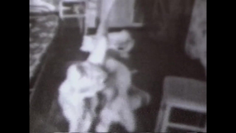 The Unforgettable: 과거의 털이 많은 보지