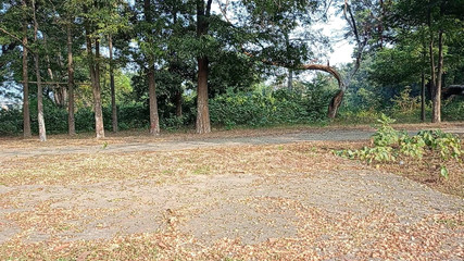 LinearOrnament35: अपने को कैसे लंबा करें: इसे 7 इंच लंबा बनाने के लिए 5 कसरतें