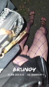 A Whore in a Mini-skirt Ras Du Cul, on the Edge of the Nationale 7 in Brunoy. 2h00 Vanessabitchx Parischiennetrvprod