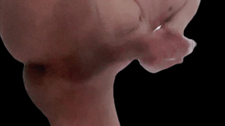 Naughty Cock: 자위하고 핑거링