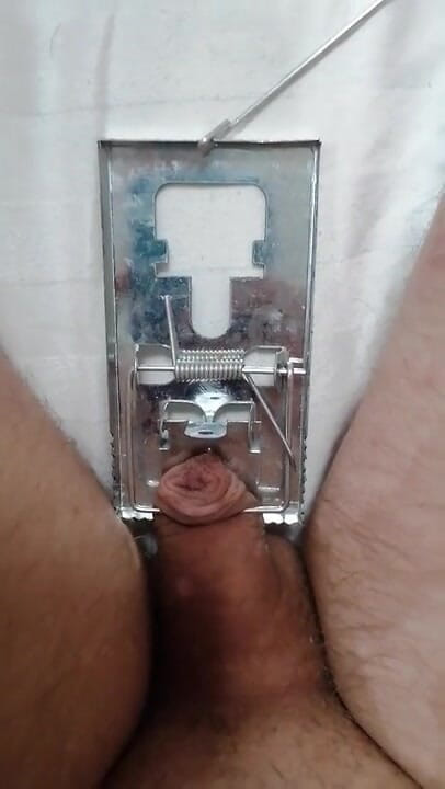 Adashah: Penis mic și capcană de șoricel. Cbt BDSM solo