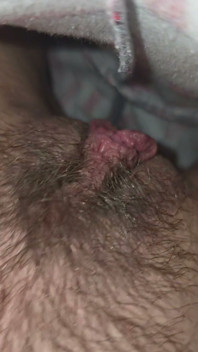 Hairy Pussy