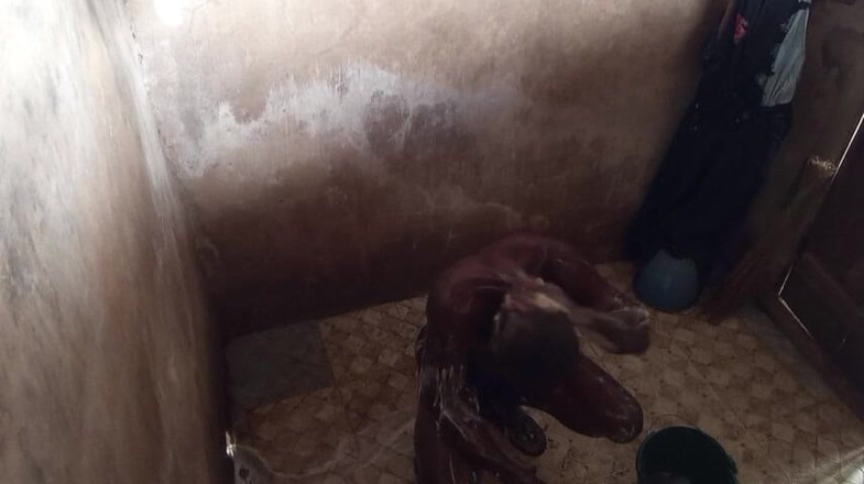 Moviesporn1: Sekarang Kali Ini Dalam Karya-karya Saya, Saya Pernah Menyejukkan Batang...