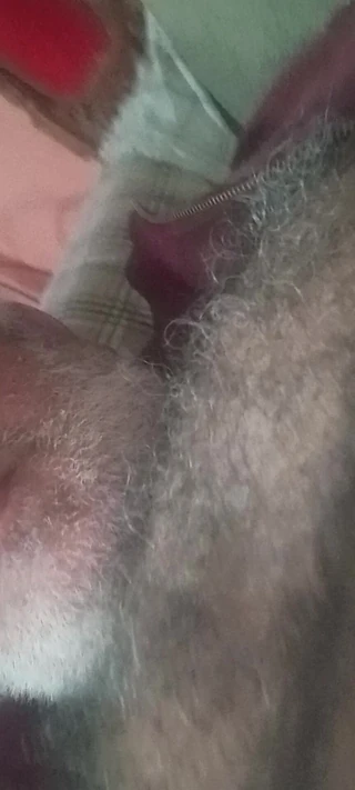 मेरे बहुत मोटे बालों वाले छाती वाले लंड के साथ खेलना