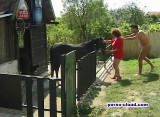 Porno Cloud: Grannys summer fuck - DVD