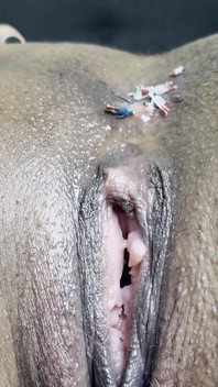 Subs Audition for Permanent Asshole Cleaner Role