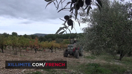 French girls at work: Anal sex with busty cougar Caro lpb