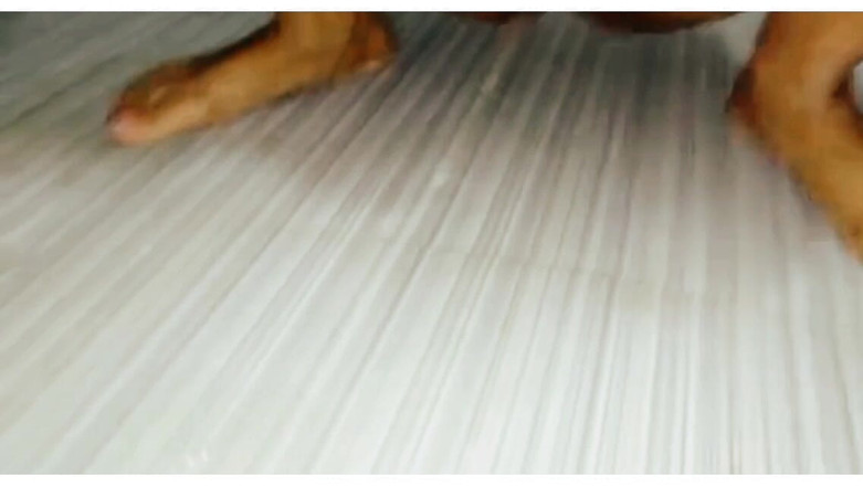 Sex Park: Caliente chica meando en el baño