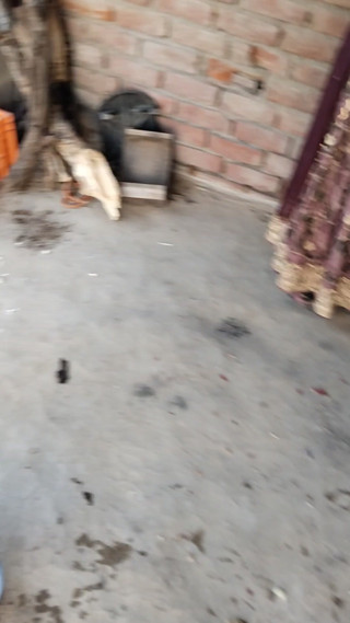 Pushpa_Devi: Pushpa Devi