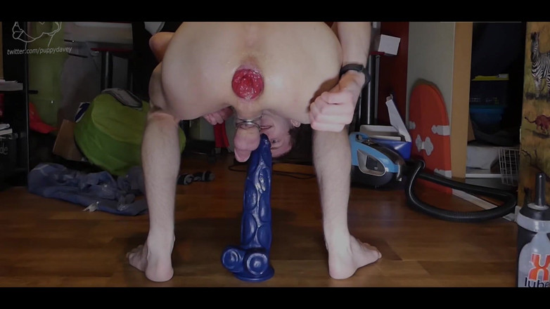 Puppy Davey: I Managed to Sneak in Some Equipment and Toys, so...
