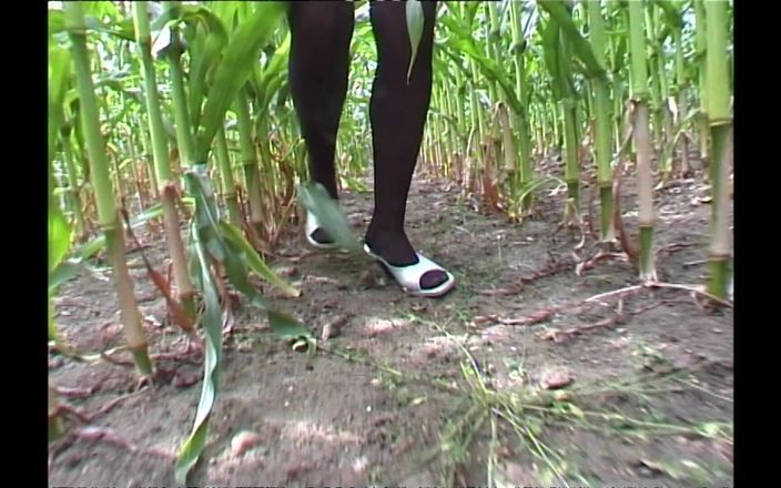 German BDSM MMV: Sado-maso german - legat și rupt