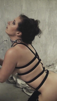 Petplay - chương trình chơi kiểu chó biến thái