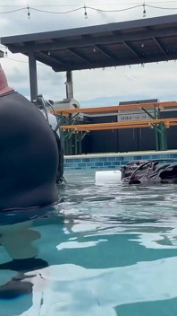 Scuba Fucking
