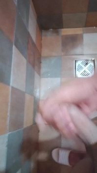 A Little Bird Before Bathing