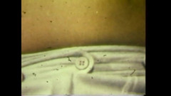 The Unforgettable: Masturabada nebună