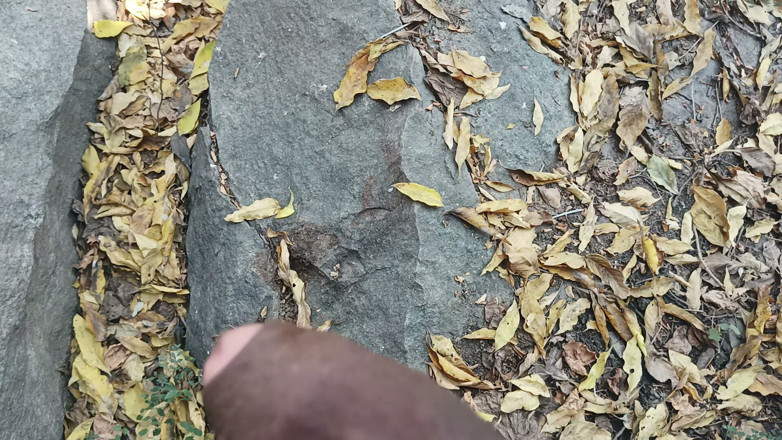 Suthavillagexxx: Tamil Boy Masturbating in the Forest