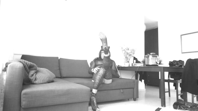 Voyager: Jurulatih Silang Menunjuk-nunjuk. melalui kamera web.