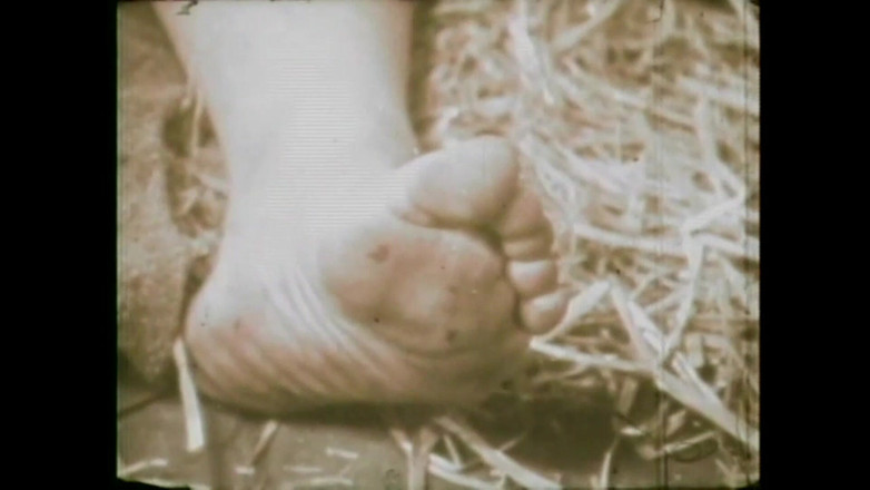 Vintage megastore: Das Dünne Mit Dem Bettler