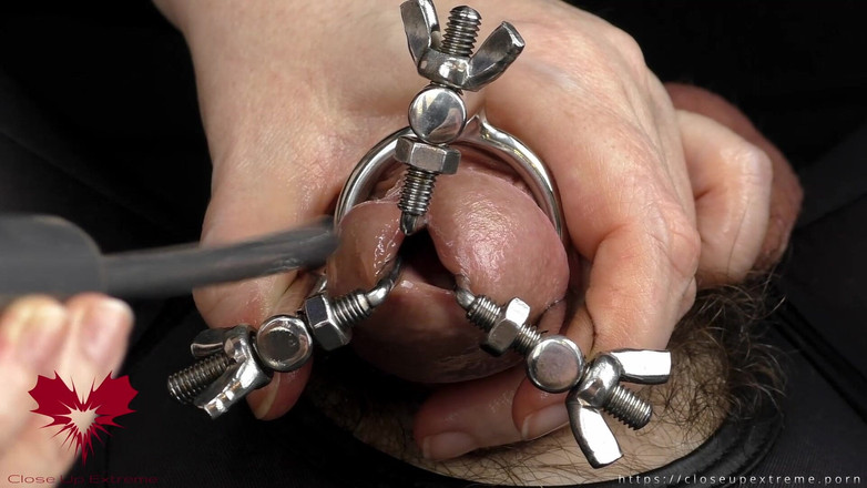 Close Up Extreme: Utvidgning av hålet, expanderat ollon, och spermieblockad genom urinrörsinsättning av...