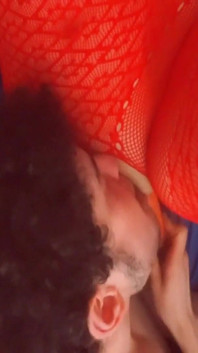 Red Bunny chce velkou mrkev