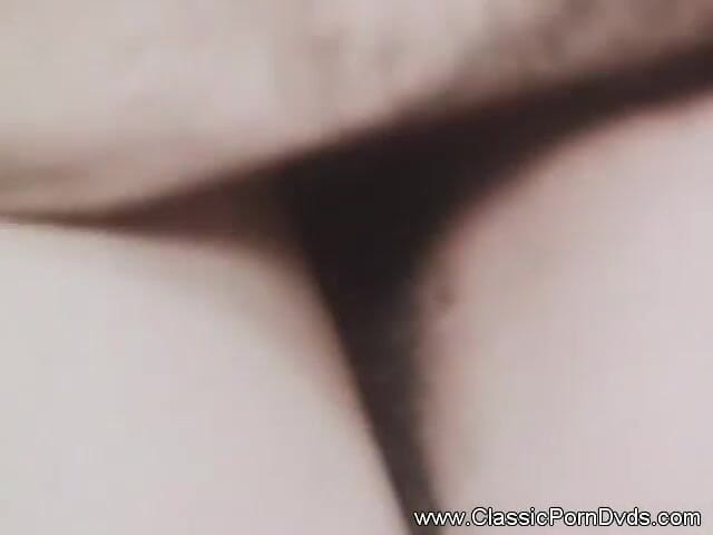 Classic Porn DVDs: Hot and hairy pure vintage action