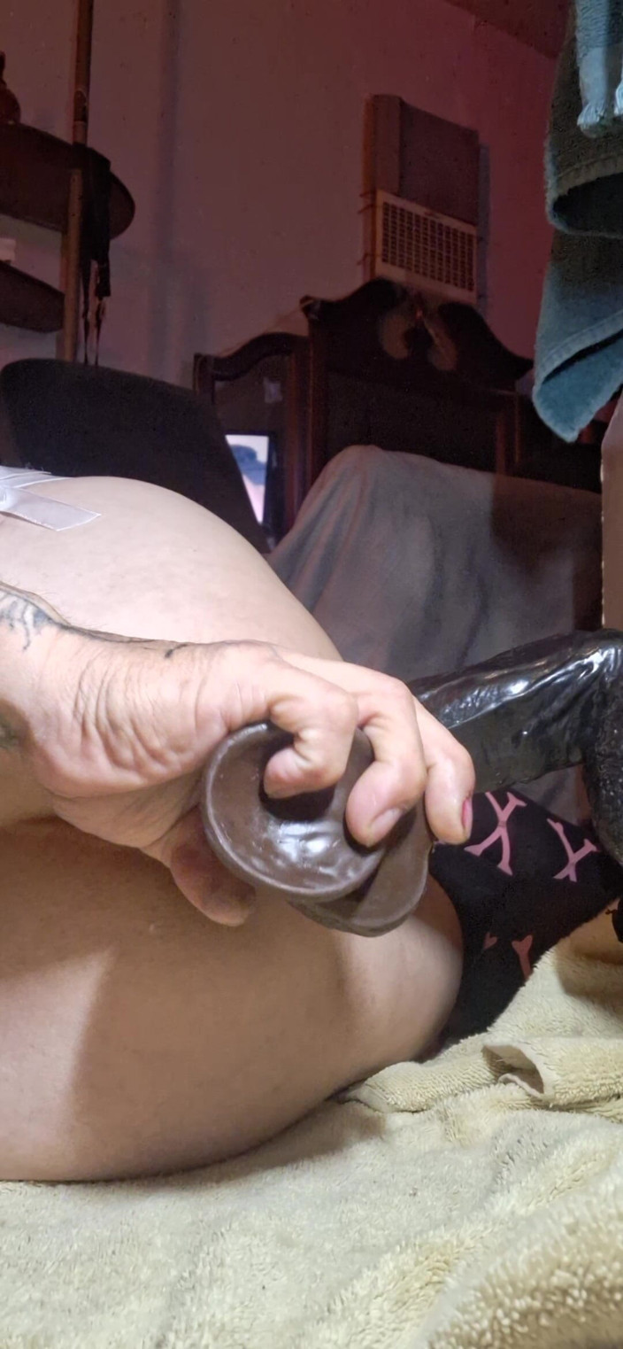 Panty lovers 69: King Dong 2