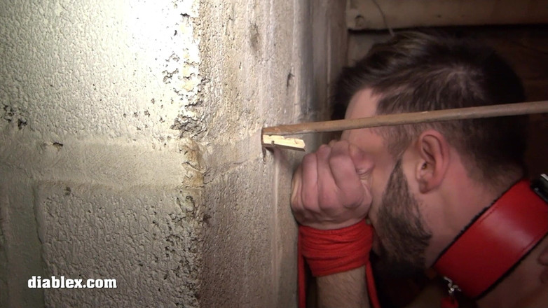 Diablex: Инициация и без седла