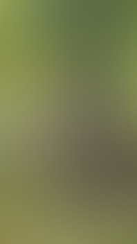 Worker Fucks in the Bush Strangers