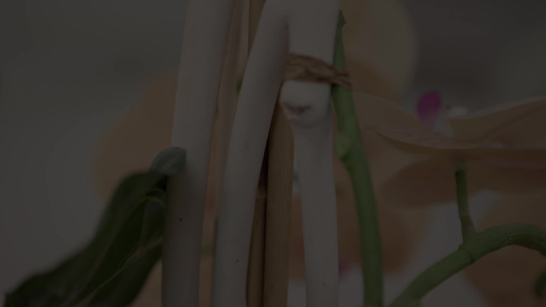 Mary Frost: Gozada interna anal com meu vizinho depois do banho