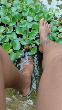 Chilling by the Water Lillies