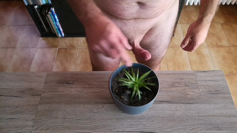 Cicci77: Cicci77 alimenta suas plantas com xixi e esperma para torná-las...