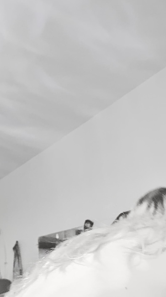 Ddub: Stapon monstrueux chevauche